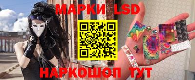альфа пвп Новодвинск