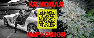альфа пвп Новодвинск