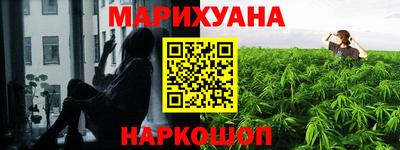 a pvp Новозыбков