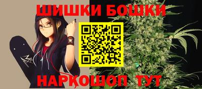 a pvp Новозыбков