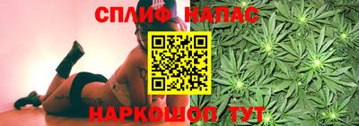 a pvp Новозыбков