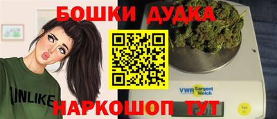 a pvp Новозыбков