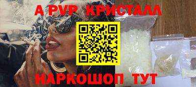 a pvp Новозыбков
